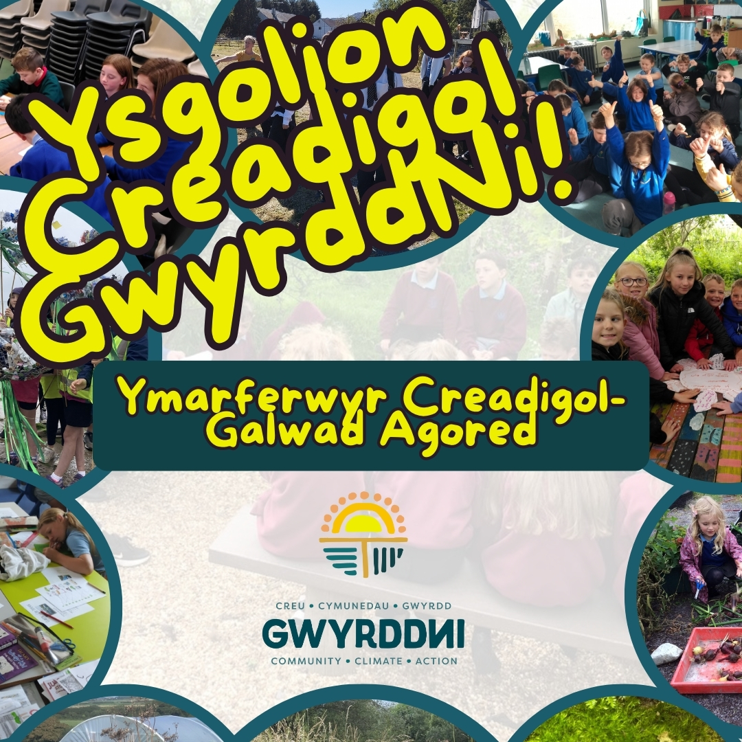 Open Call – GwyrddNi’s Creative Schools Commission
